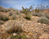 Enlarge photo 33