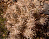Enlarge photo 34