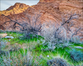 Enlarge photo 35