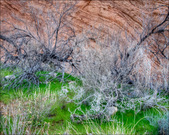 Enlarge photo 36