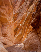 Enlarge photo 37