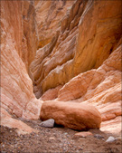 Enlarge photo 40