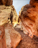 Enlarge photo 41