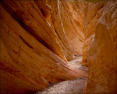Enlarge photo 45