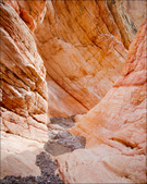 Enlarge photo 57