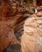 Enlarge photo 58
