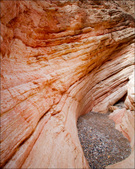 Enlarge photo 59