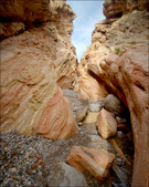 Enlarge photo 61