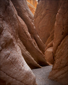 Enlarge photo 65