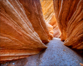 Enlarge photo 70