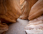 Enlarge photo 71
