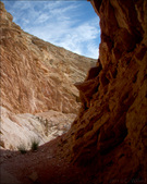 Enlarge photo 78