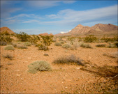 Enlarge photo 82