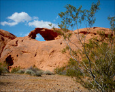 Enlarge photo 10