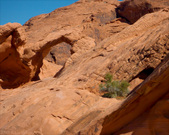 Enlarge photo 14