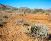 Enlarge photo 26