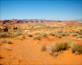 Enlarge photo 30