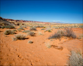 Enlarge photo 32