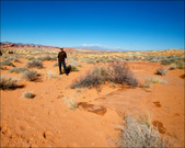 Enlarge photo 33