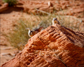 Enlarge photo 35