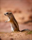 Enlarge photo 37