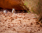 Enlarge photo 39