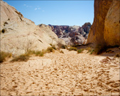 Enlarge photo 40