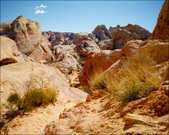 Enlarge photo 41