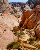 Enlarge photo 42