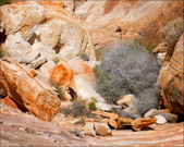 Enlarge photo 47