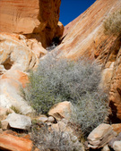 Enlarge photo 48