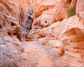 Enlarge photo 49