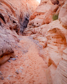 Enlarge photo 50