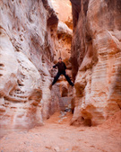 Enlarge photo 56