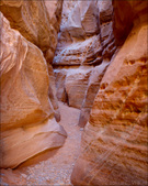 Enlarge photo 60