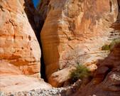 Enlarge photo 64