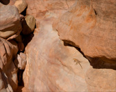 Enlarge photo 65