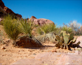 Enlarge photo 66