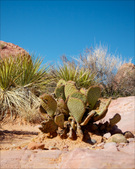 Enlarge photo 67