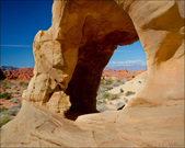 Enlarge photo 71