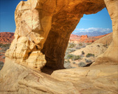 Enlarge photo 72