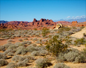 Enlarge photo 79