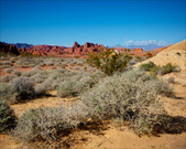 Enlarge photo 80