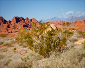 Enlarge photo 81