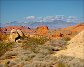 Enlarge photo 82