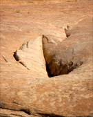 Enlarge photo 83