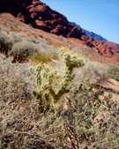 Enlarge photo 84