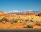 Enlarge photo 90