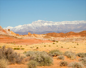 Enlarge photo 91