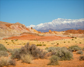 Enlarge photo 92